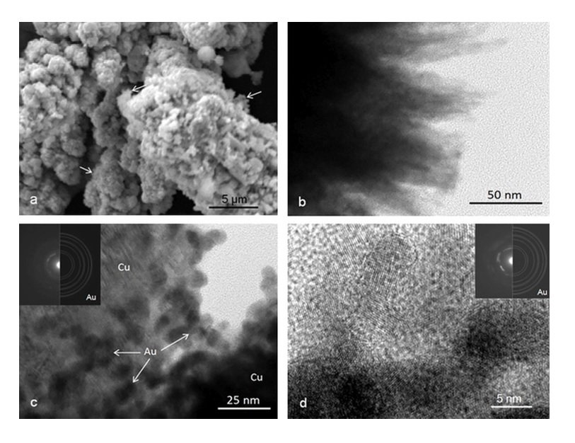 Cztery zdjęcia z mikroskopów SEM i TEM prezentujące nanokatalizator Au/Cu