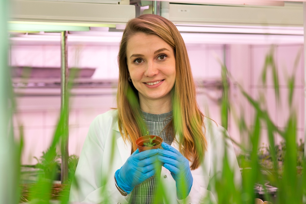 Kobieta w laboratorium trzyma w rękach małą doniczkę z rośliną