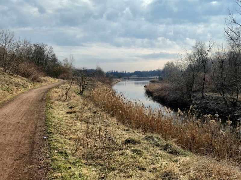 rzeka Kochłówka w Rudze Śląskiej