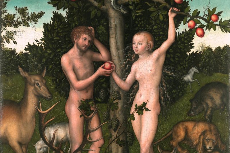 Lucas Cranach Starszy, Adam i Ewa. Dzieło ze zbiorów Courtauld Institute of Art w Londynie