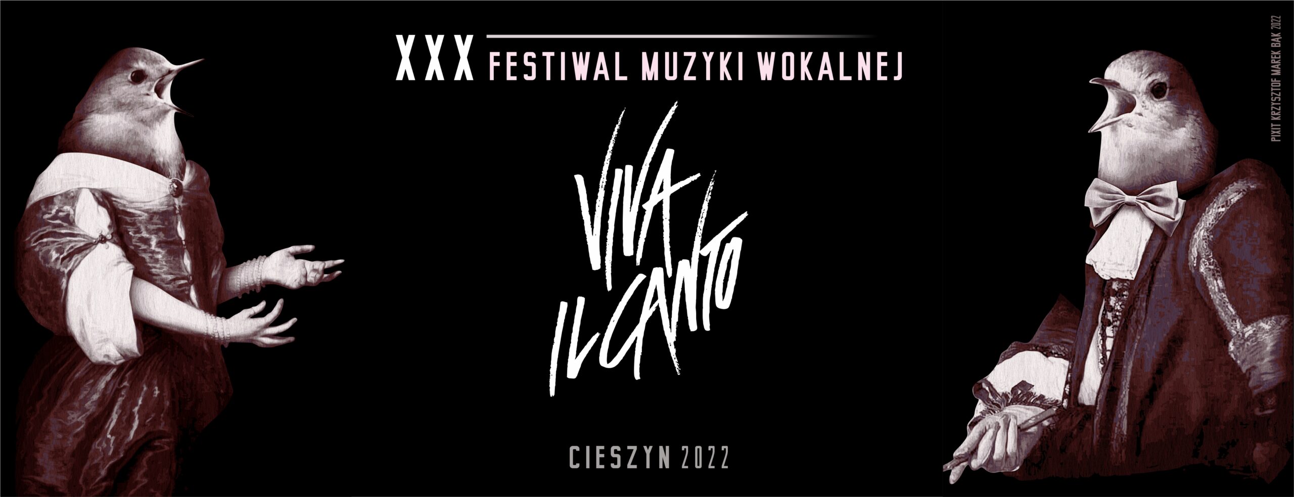 Baner XXX festiwalu muzyki wokalnej „Viva il canto”