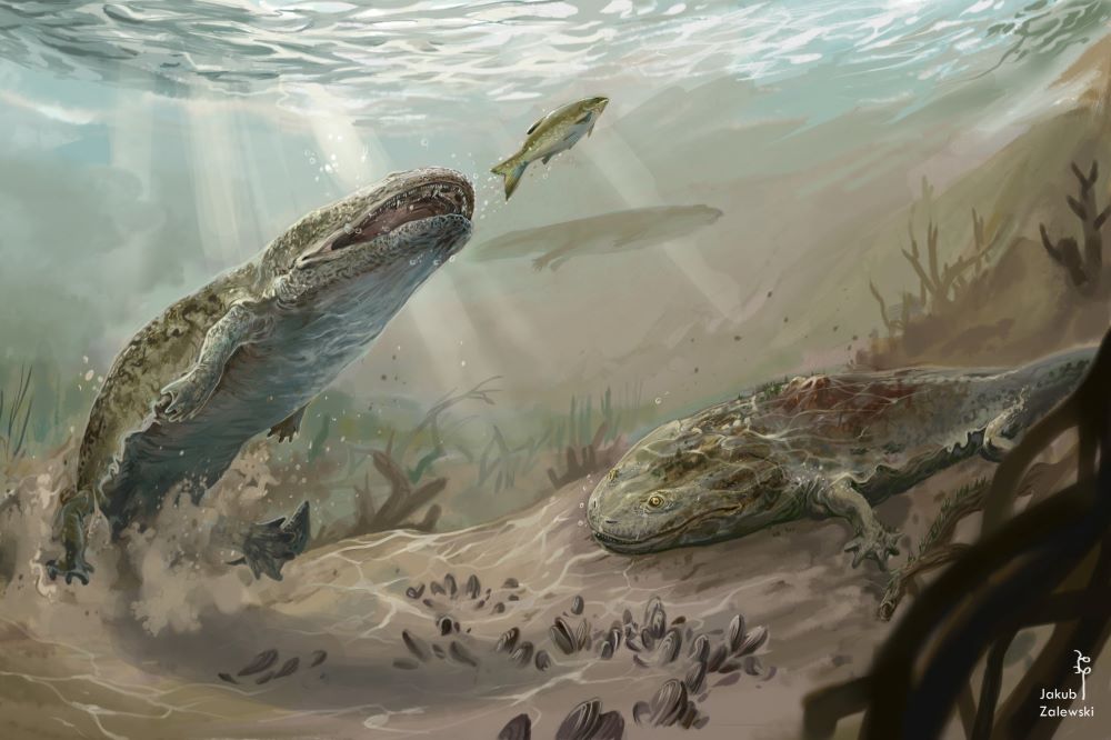 Metopozaury, przedstawiciele płazów tarczogłowych w swoim środowisku, około 210 mln lat temu // Metoposaurus, representatives of Labyrinthodontia (Greek, 'maze-toothed') in their habitat, about 210 million years ago