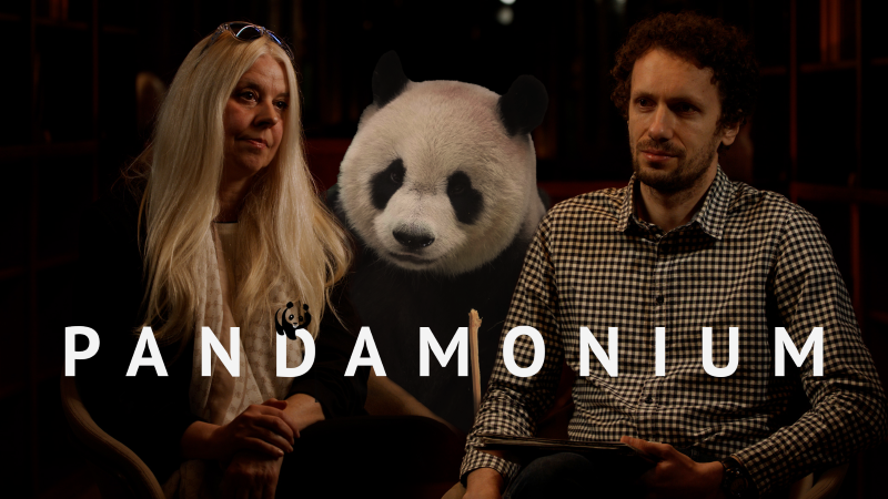 Pandamonium, SPN