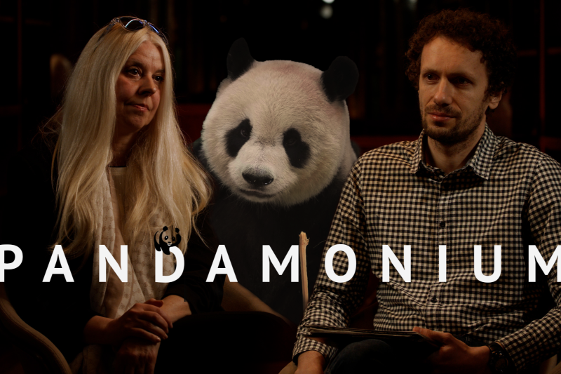 Pandamonium, SPN