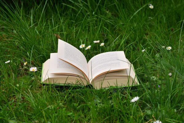 otwarta książka leży na zielonej trawie