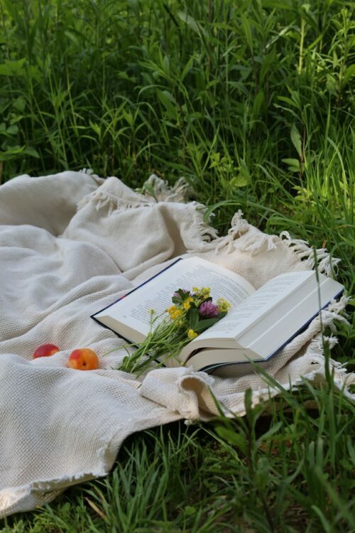 trawa, koc na kocu książka i polne kwiaty