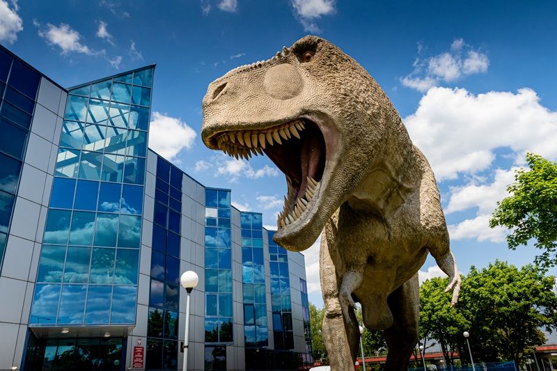 Świąteczne dekorowanie dinozaura