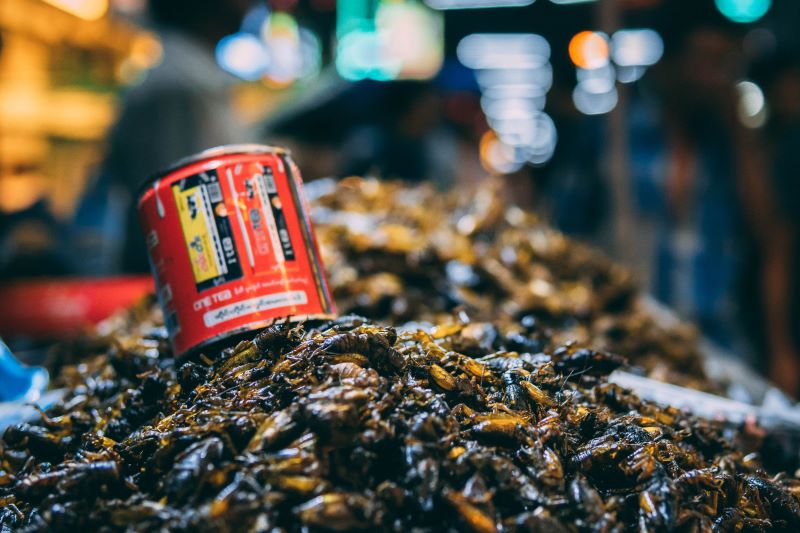 Na pierwszym planie stos świerszczy jadalnych, na nich leży metalowa puszka, w tle światła straganów / a pile of edible crickets, metal can on top of them, and market stand lights in the background