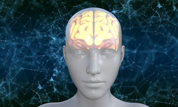 wizualizacja mózgu w głowie człowieka // visualisation of a brain in a human's head