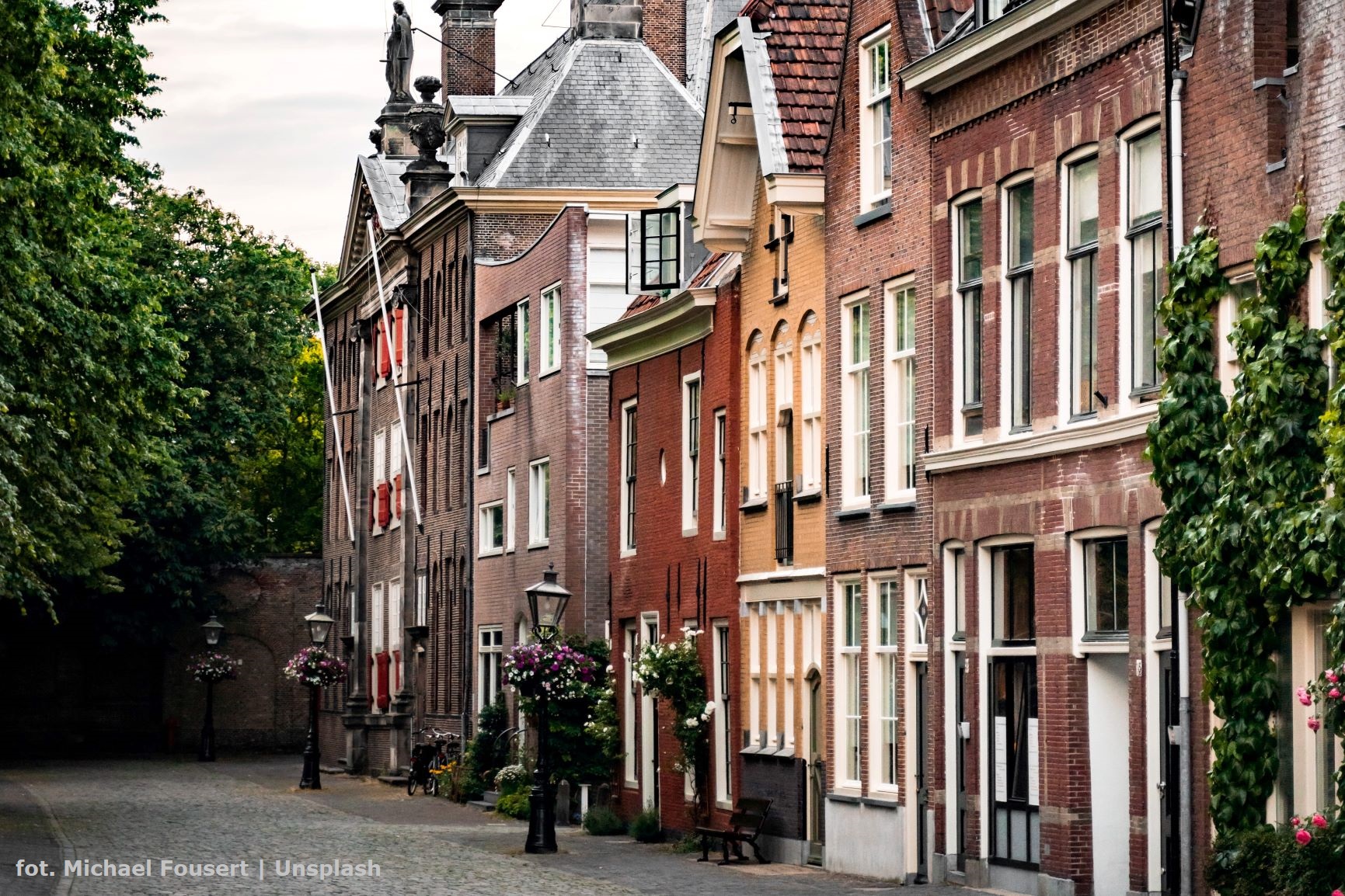 Holenderskie miasto: uliczka z drzewkami i budynkami