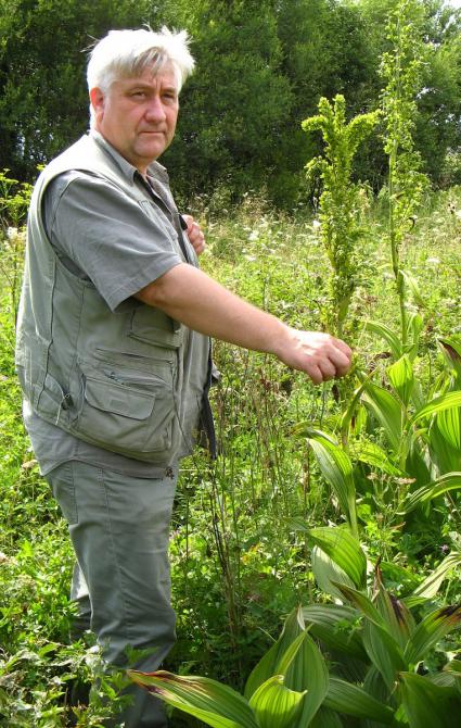 Prof. dr hab. Adam Rostański trzymający roślinę na polanie