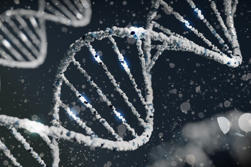 Nić DNA