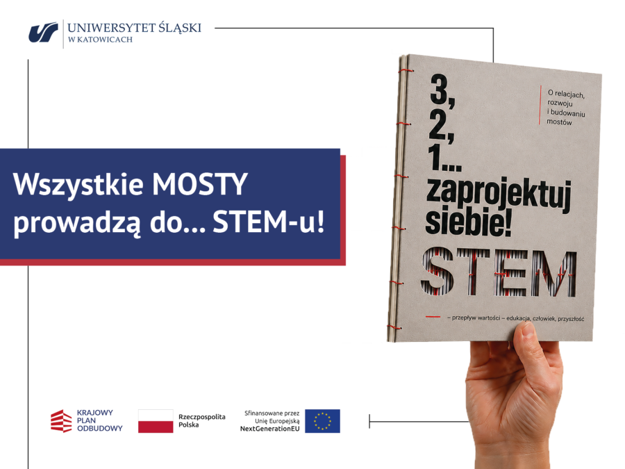 grafika przedstawiająca publikację stem