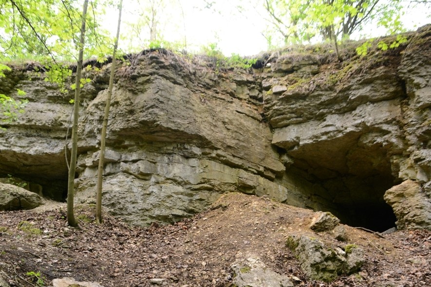 zdjęcie przedstawia skały