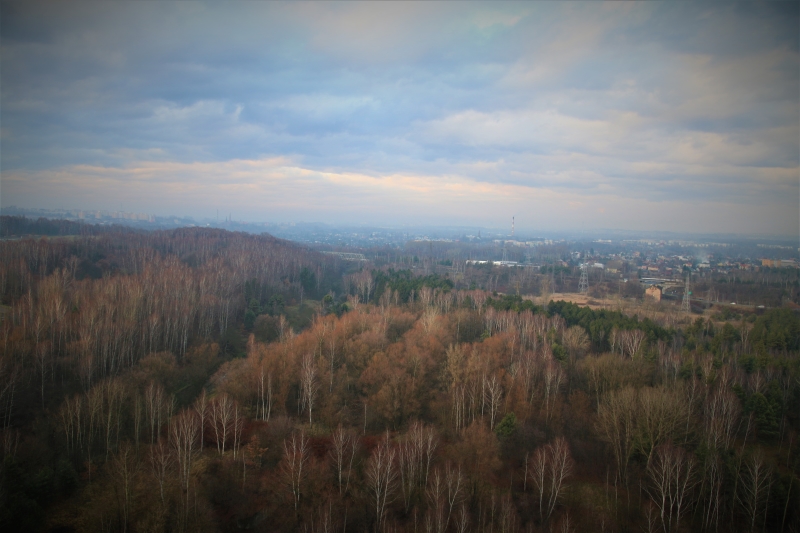 Krajobraz przedstawiający las oraz zabudowę miejską. Widok z lotu balonem/Forest and city landscape. View from a balloon
