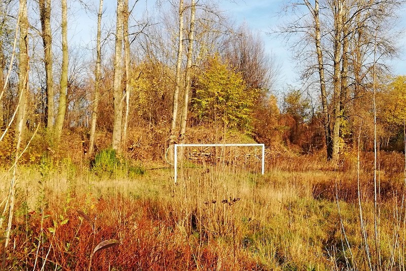 Łąka z drzewami, na środku postawiona rama bramki do piłki nożnej