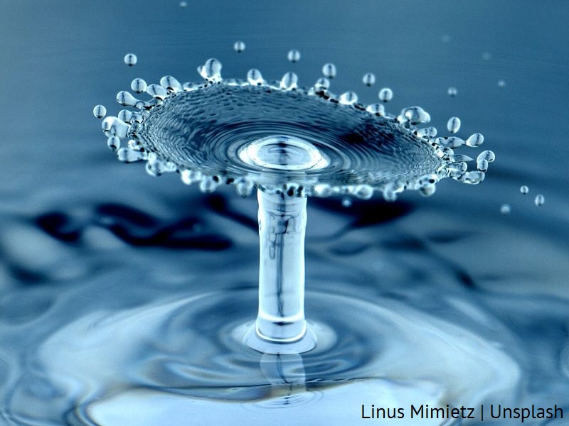 Krople wody/Drops of water