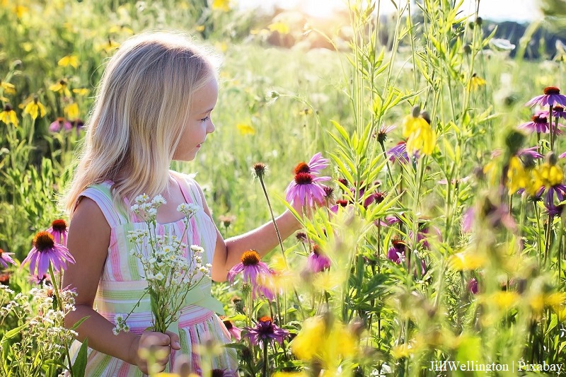 Dziewczynka stoi na łące wśród kwiatów