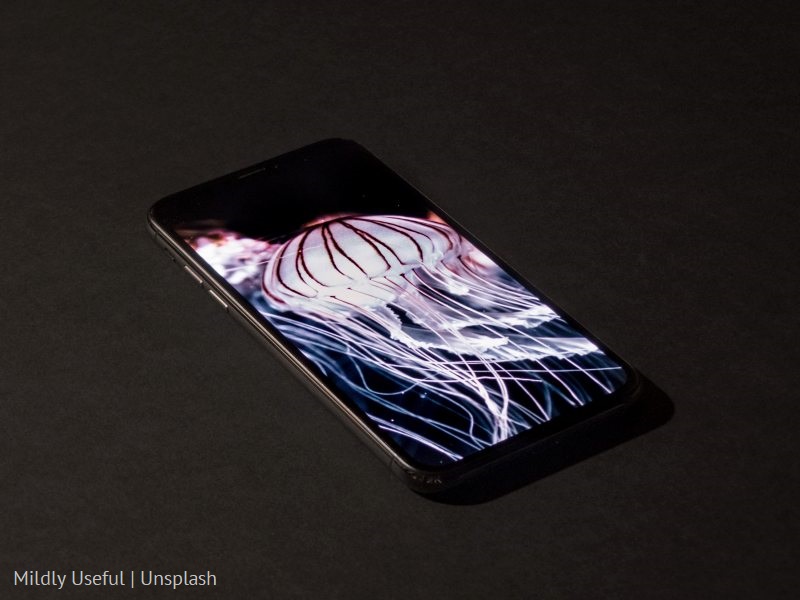 Zdjęcie meduzy na telefonie/Photo of jellyfish on a telephone