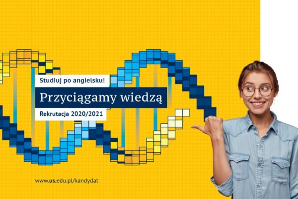 grafika dotycząca studiów w języku angielskim/graphics on studies in English
