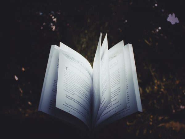 otwarta książka na ciemnym tle / an open book against a dark background