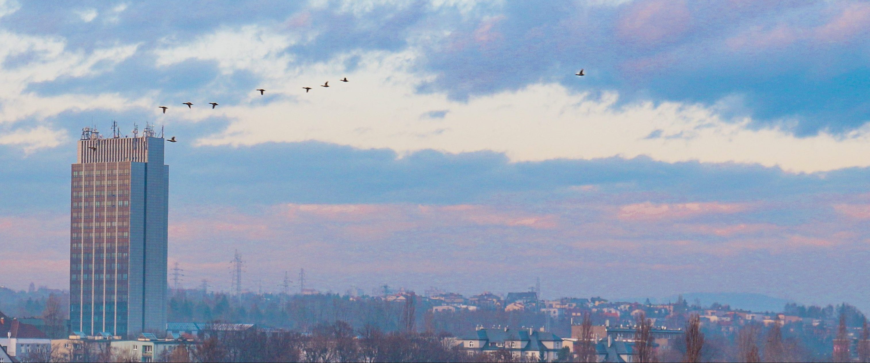 Panorama miasta przy zachodzie słońca, wysoki budynek i lecące ptaki