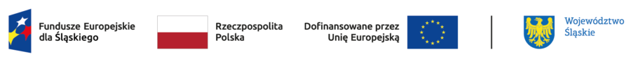 logotypy: Fundusze Europejskie dla Rozwoju Społecznego, Rzeczpospolita Polska, Unia Europejska, Województwo Śląskie
