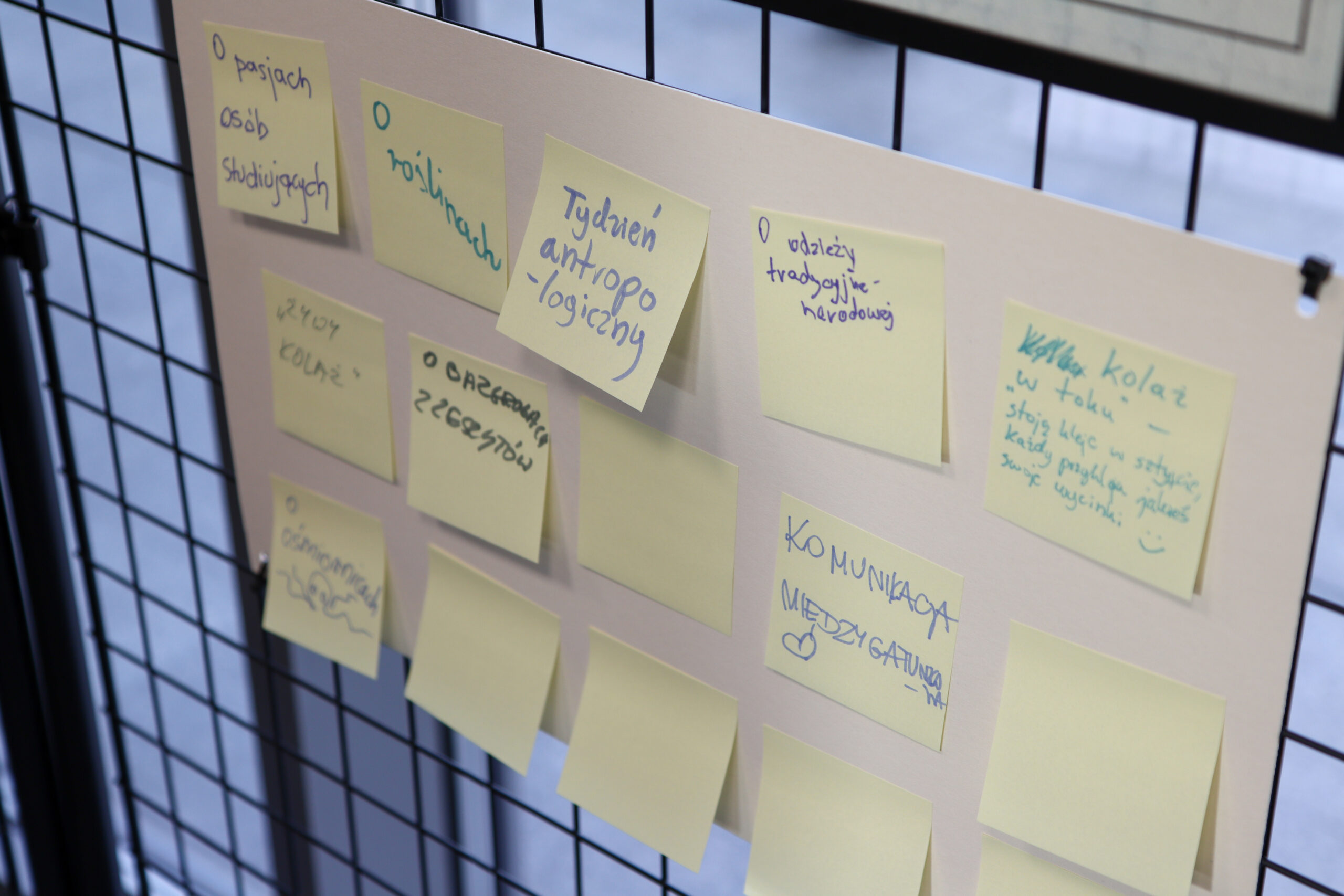 karteczki z wpisami uczestników otwarcia wystawy