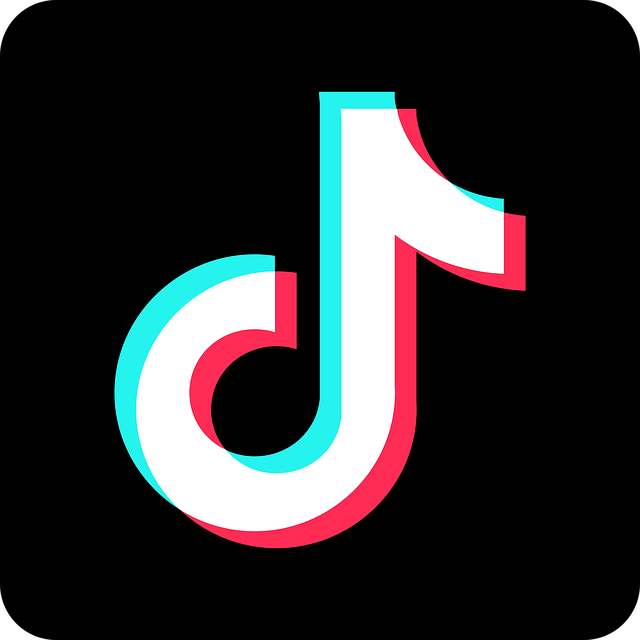 logo tiktoka