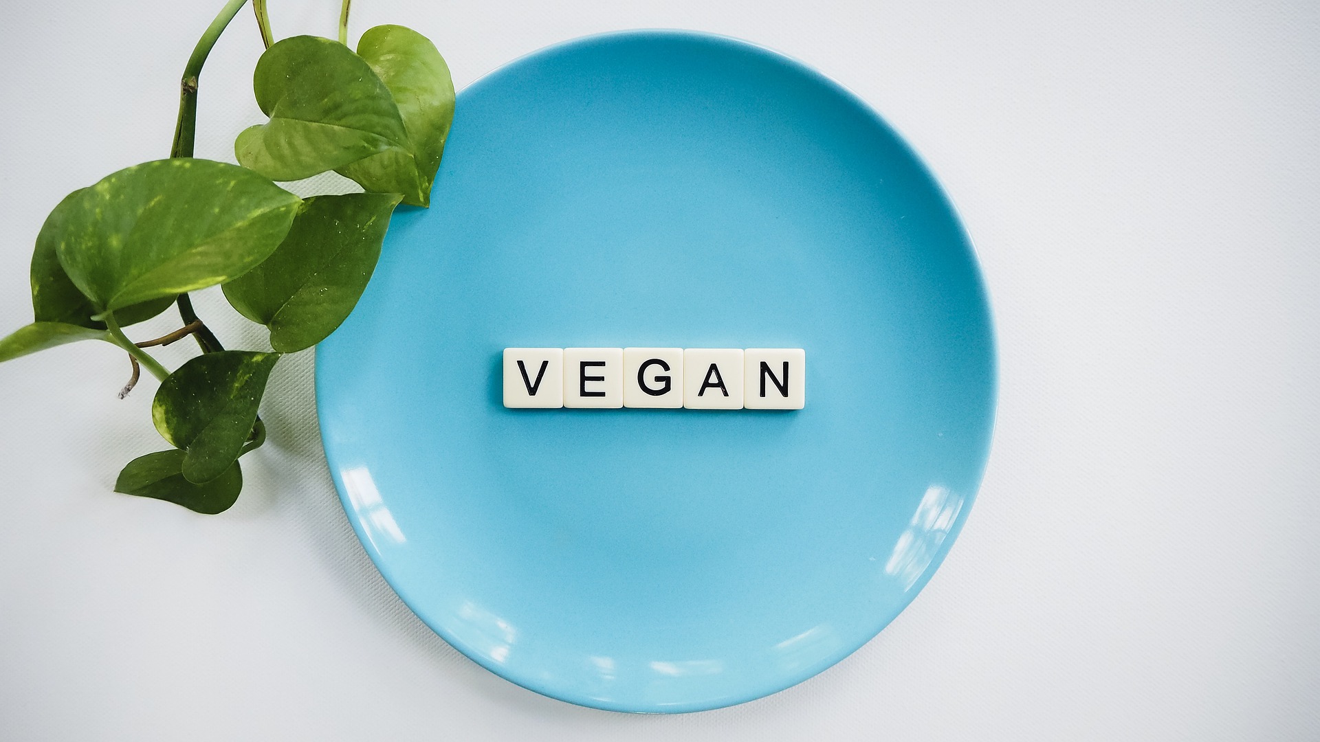 niebieski talerz z literami 'vegan' oraz zielone liście obok talerza