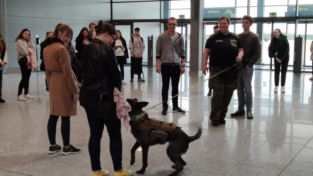 Uczestnicy warsztatów na lotnisku w trakcie szkolenia psa