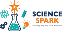 LOGOTYP_SPARK_krzywe CMYK poziom