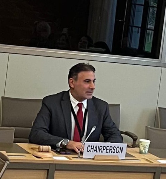 the picture shows professor Angelo Viglianisi Ferraro as a chairperson