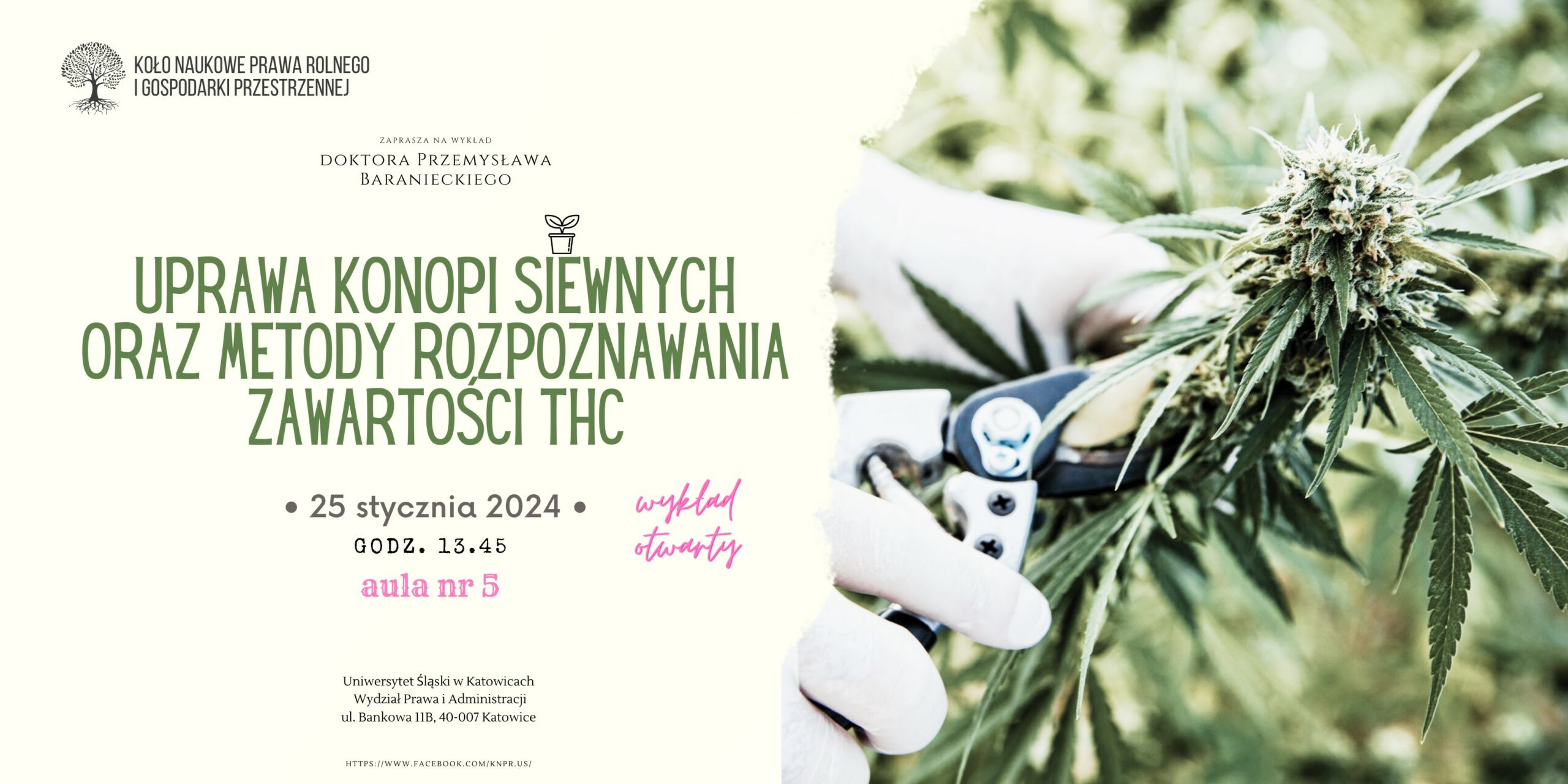 zielona roślina i sekator